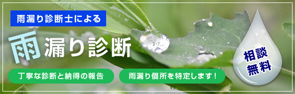 雨漏り診断士による雨漏り診断